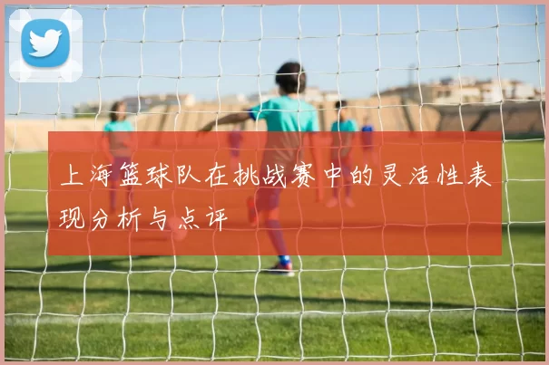 上海篮球队在挑战赛中的灵活性表现分析与点评