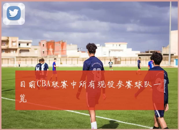 目前CBA联赛中所有现役参赛球队一览