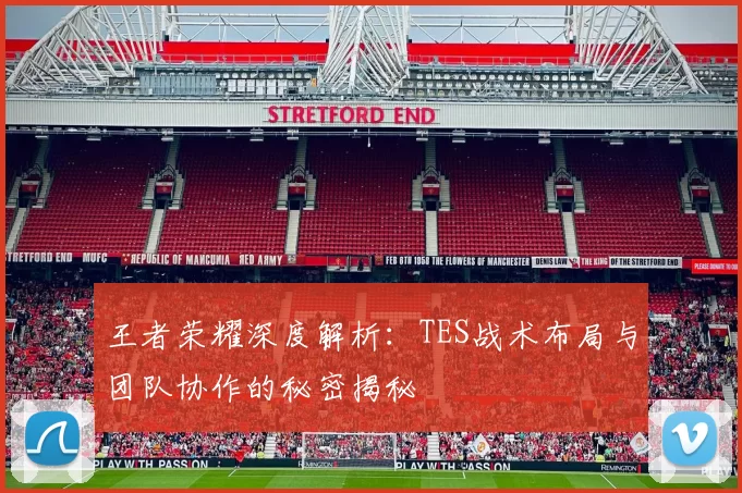 王者荣耀深度解析：TES战术布局与团队协作的秘密揭秘