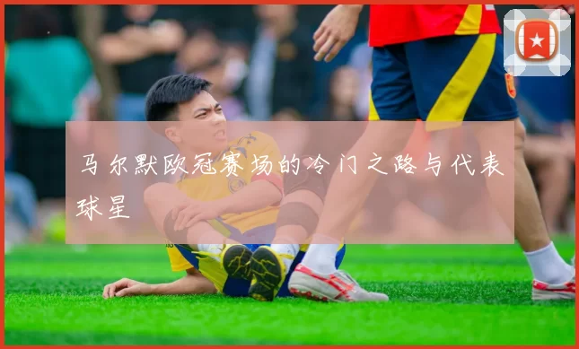 马尔默欧冠赛场的冷门之路与代表球星