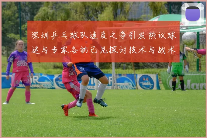 深圳乒乓球队速度之争引发热议球迷与专家各执己见探讨技术与战术