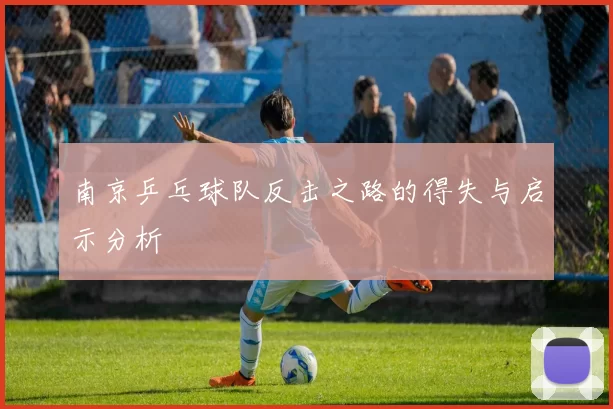 南京乒乓球队反击之路的得失与启示分析