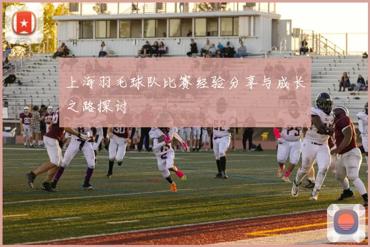 上海羽毛球队比赛经验分享与成长之路探讨