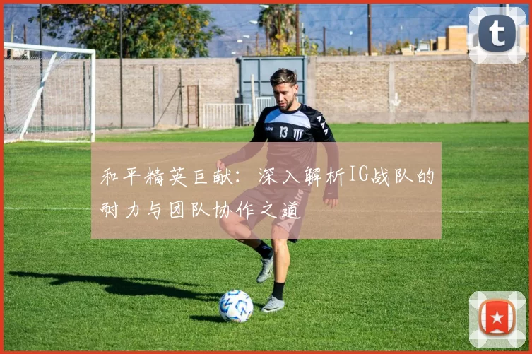 和平精英巨献：深入解析IG战队的耐力与团队协作之道
