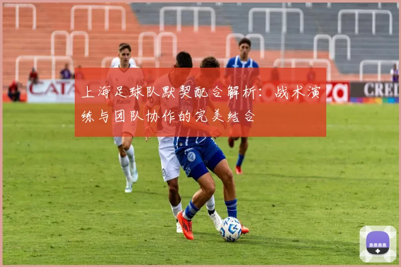 上海足球队默契配合解析：战术演练与团队协作的完美结合