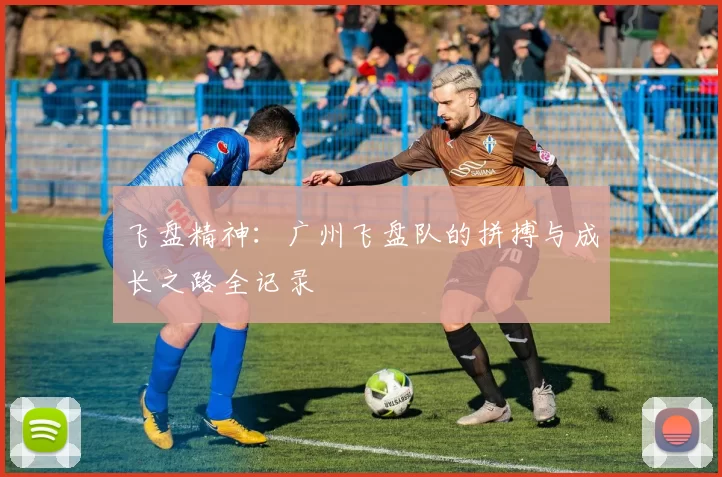 飞盘精神：广州飞盘队的拼搏与成长之路全记录