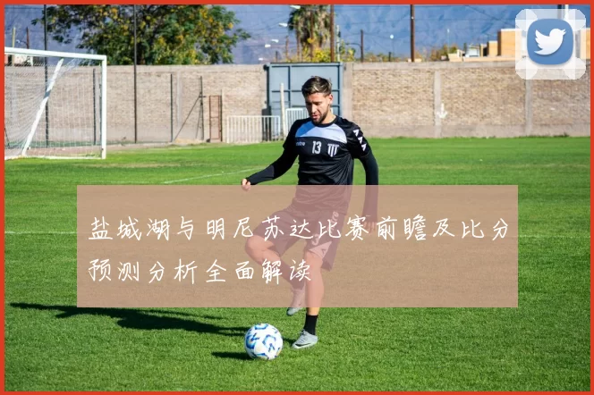 盐城湖与明尼苏达比赛前瞻及比分预测分析全面解读