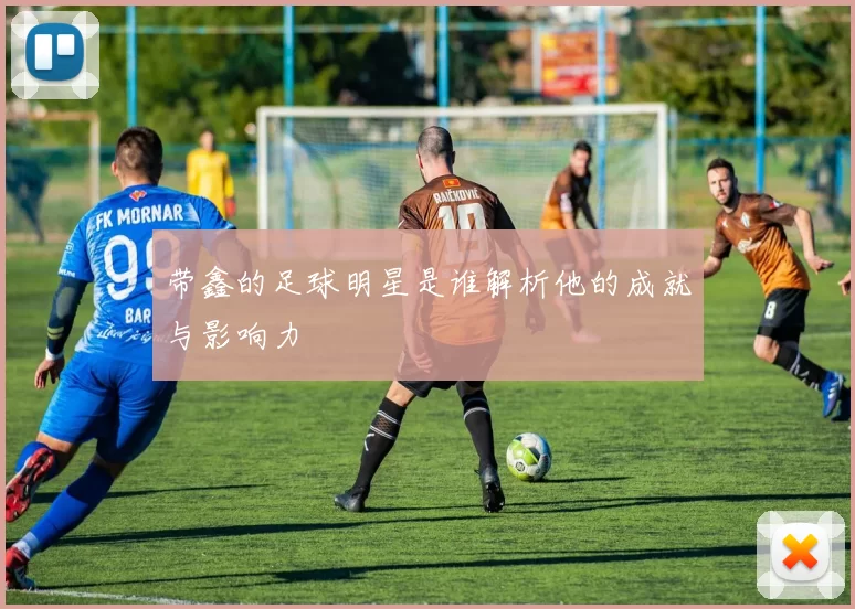 带鑫的足球明星是谁解析他的成就与影响力