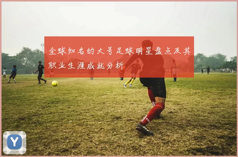 全球知名的大号足球明星盘点及其职业生涯成就分析