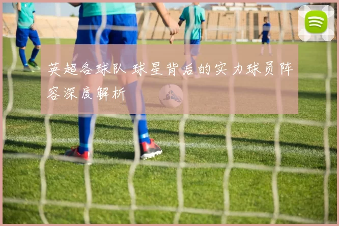 英超各球队 球星背后的实力球员阵容深度解析