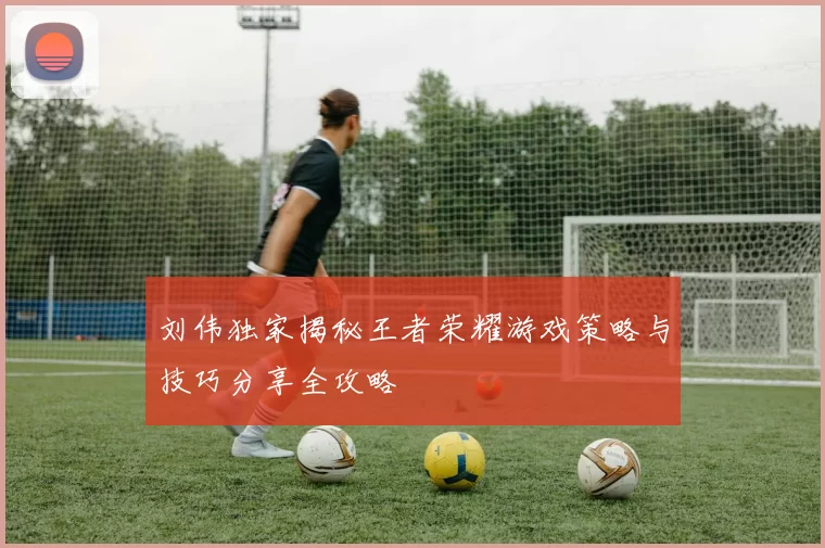 刘伟独家揭秘王者荣耀游戏策略与技巧分享全攻略