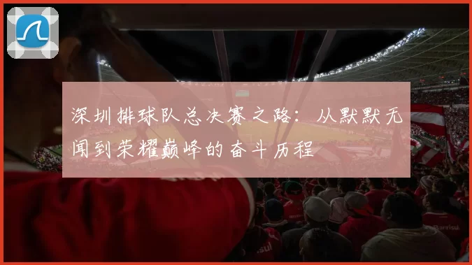 深圳排球队总决赛之路：从默默无闻到荣耀巅峰的奋斗历程