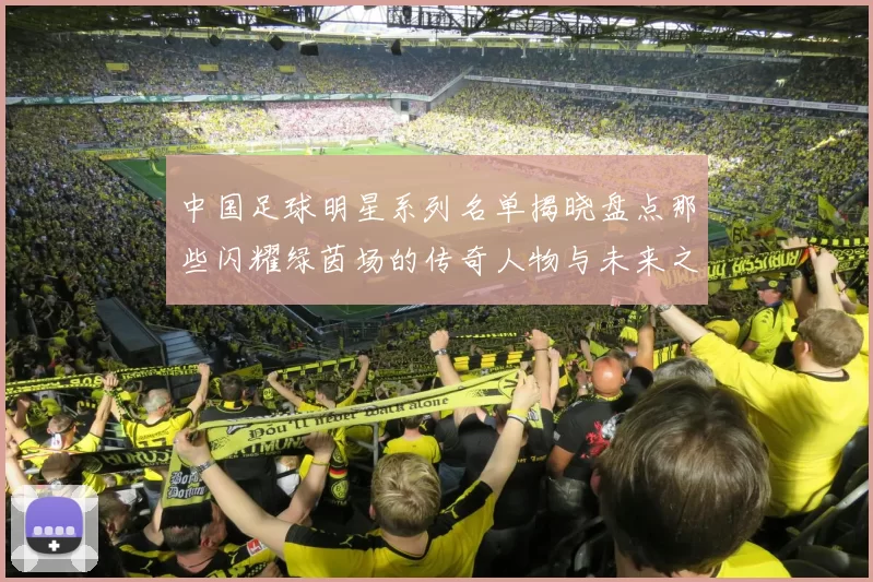 中国足球明星系列名单揭晓盘点那些闪耀绿茵场的传奇人物与未来之星