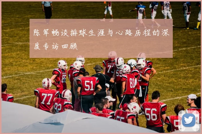 陈军畅谈排球生涯与心路历程的深度专访回顾