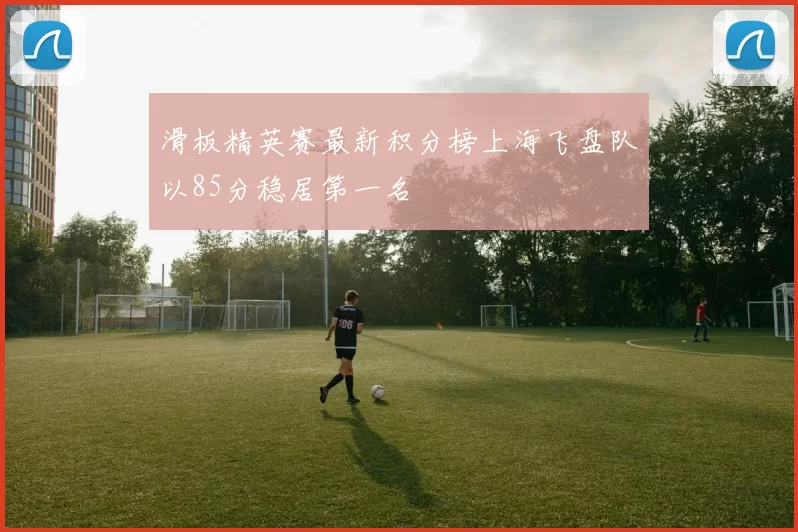 滑板精英赛最新积分榜上海飞盘队以85分稳居第一名