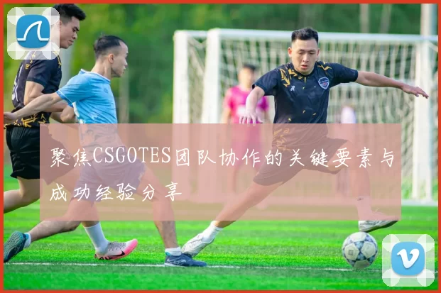 聚焦CSGOTES团队协作的关键要素与成功经验分享