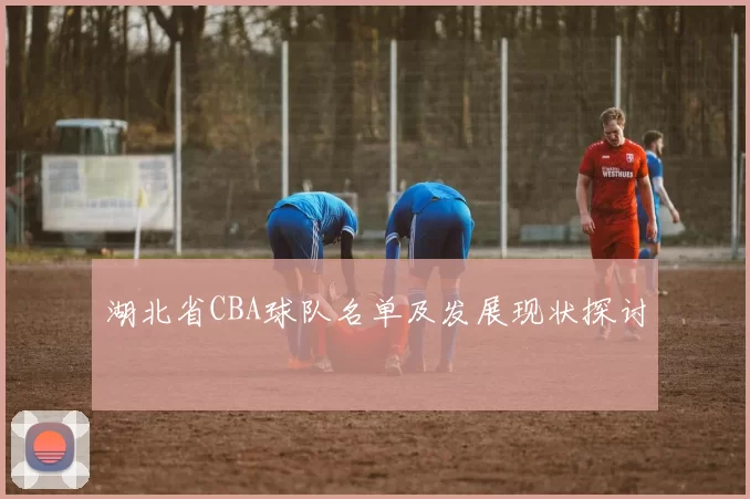 湖北省CBA球队名单及发展现状探讨